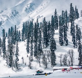 Kashmir Landscape