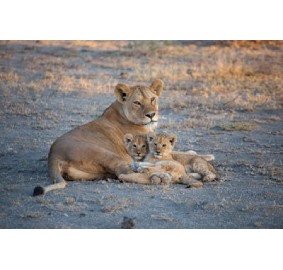 Kenya