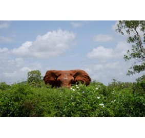 Kenya